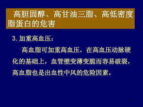 營(yíng)養(yǎng)科技雙驅(qū)動(dòng) 功能食品與招生服務(wù)如何助力健康與學(xué)業(yè)